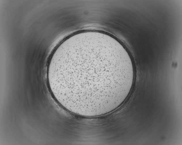 X0000114411376200911131418