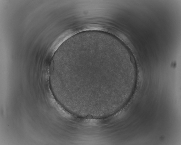 X0000114411377200911131418