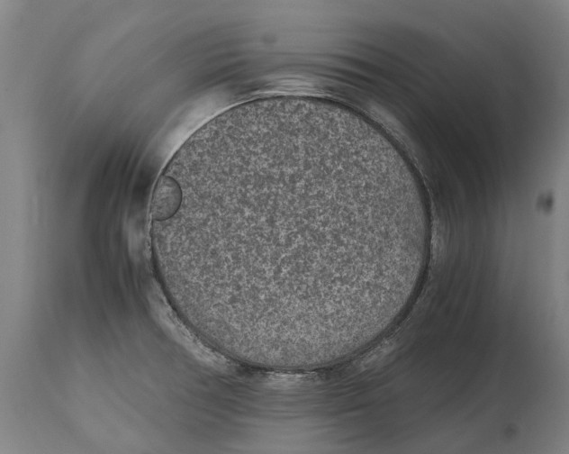 X0000114411378200911131418