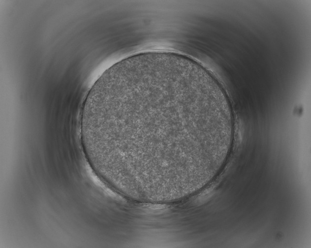 X0000114411382200911131418