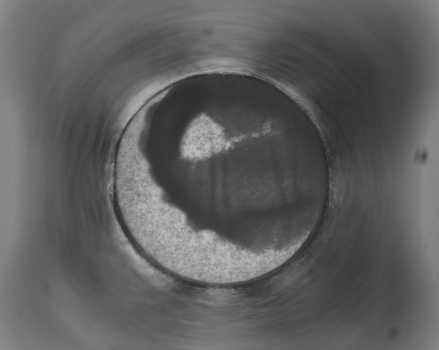 X0000114411383200911131418