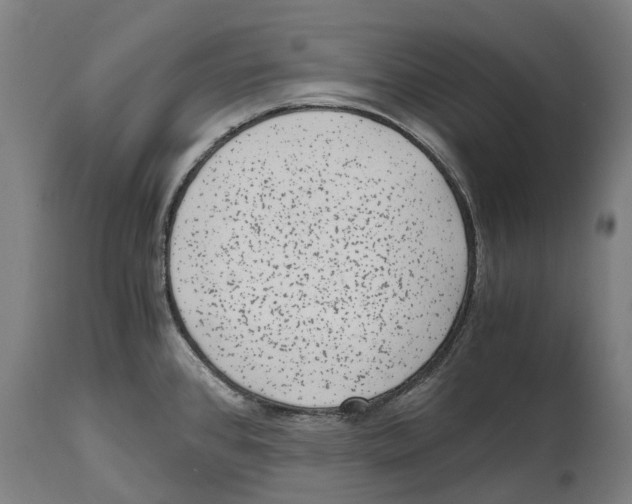 X0000114411384200911131418