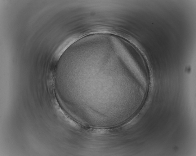 X0000114411385200911131418