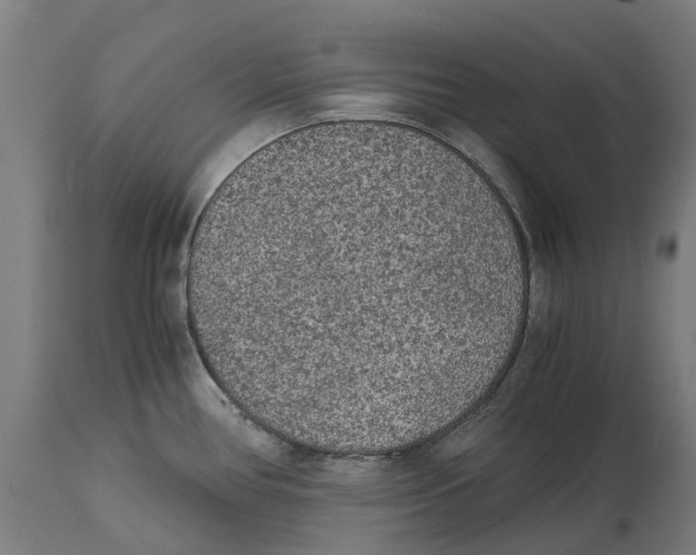 X0000114411386200911131418