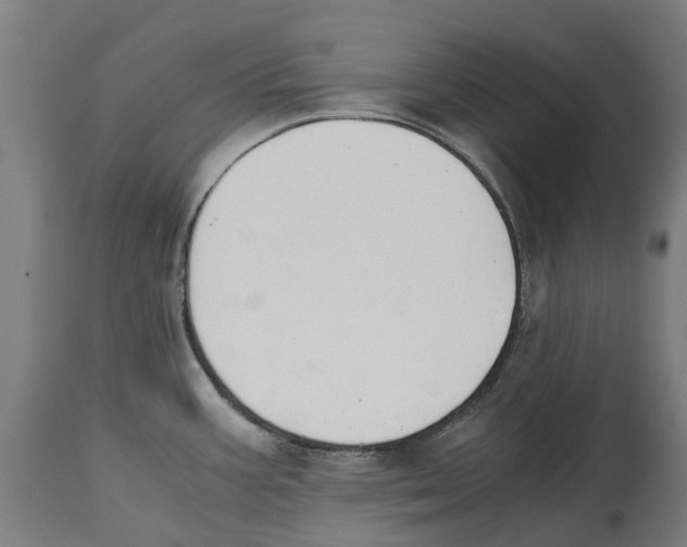 X0000114411387200911131418