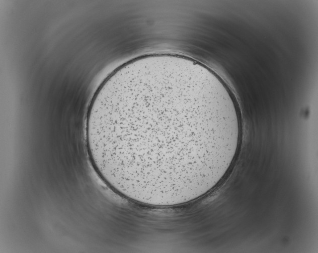 X0000114411388200911131418