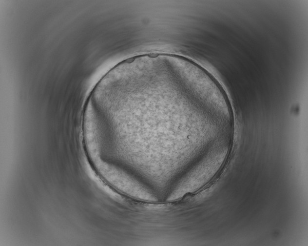 X0000114411389200911131418