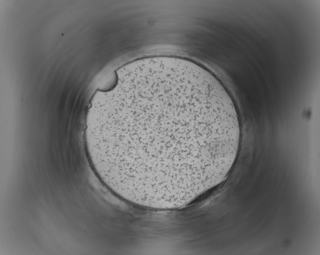 X0000114411390200911131418