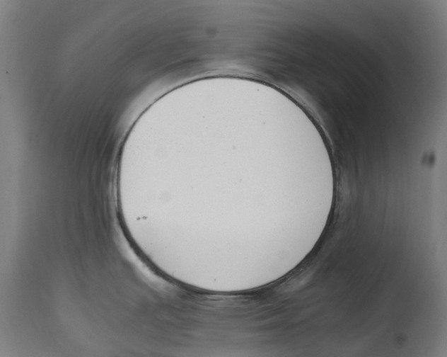 X0000114411391200911131418