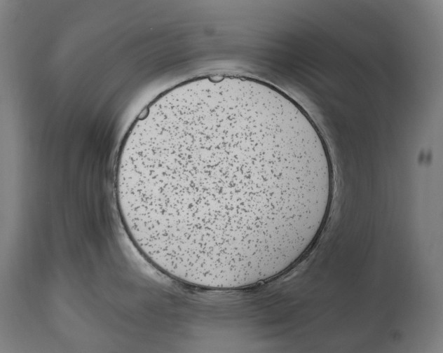 X0000114411392200911131418