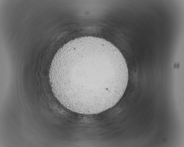 X0000114411393200911131418