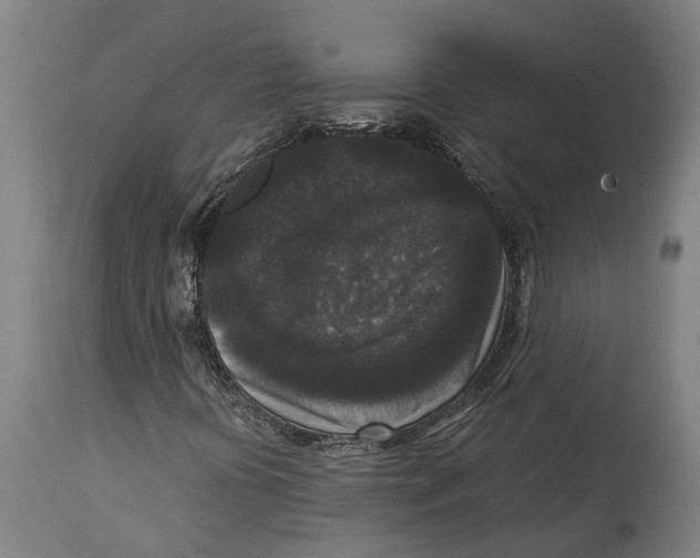 X0000114411394200911131418