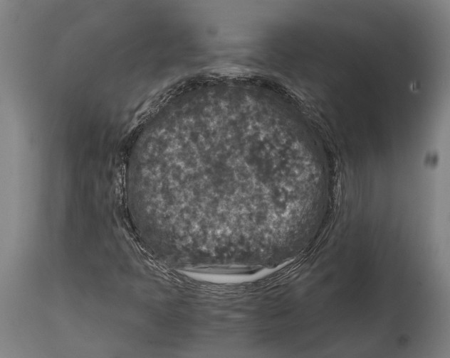 X0000114411397200911131418