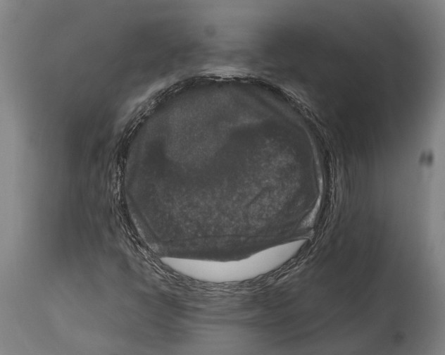 X0000114411398200911131418