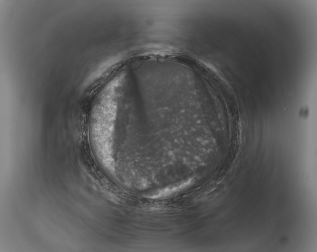 X0000114411399200911131418