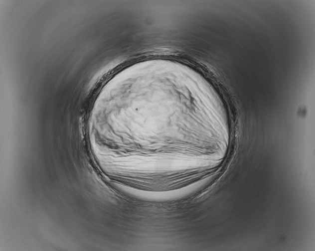 X0000114411402200911131418