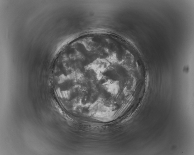 X0000114411405200911131418