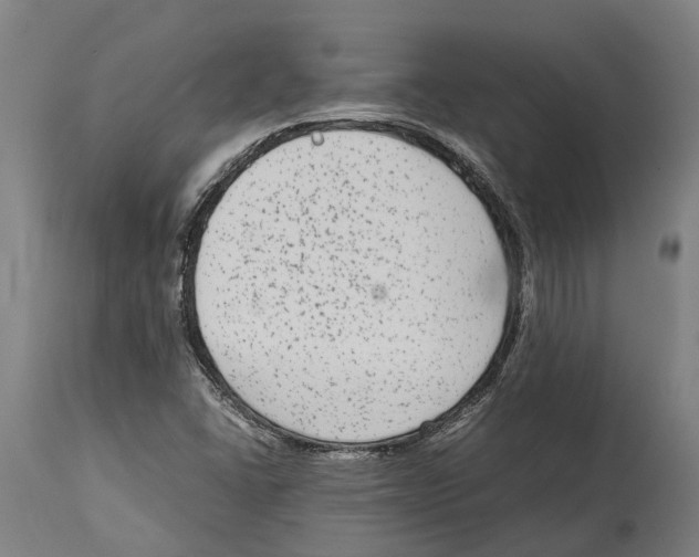 X0000114411406200911131418