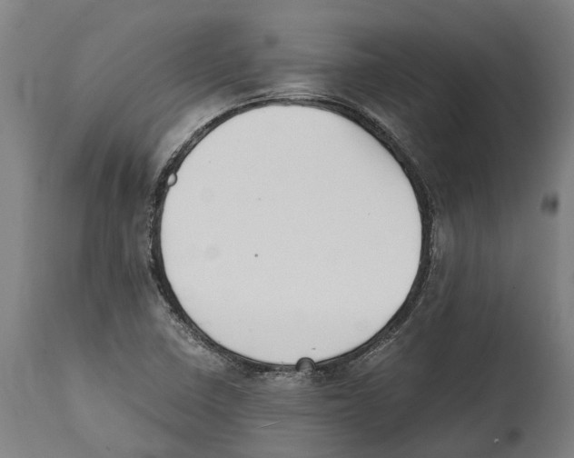 X0000114411410200911131418