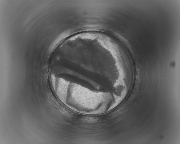 X0000114411411200911131418