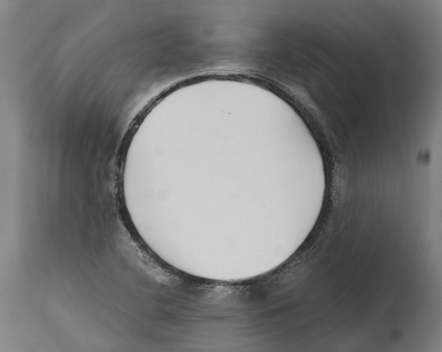 X0000114411412200911131418