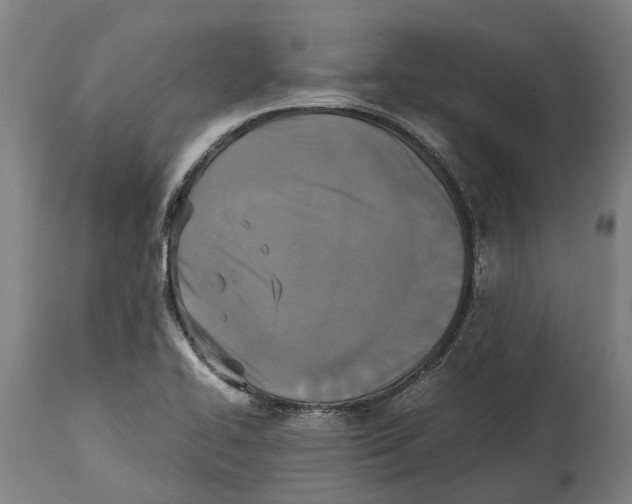 X0000114411414200911131418