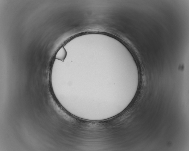 X0000114411416200911131418