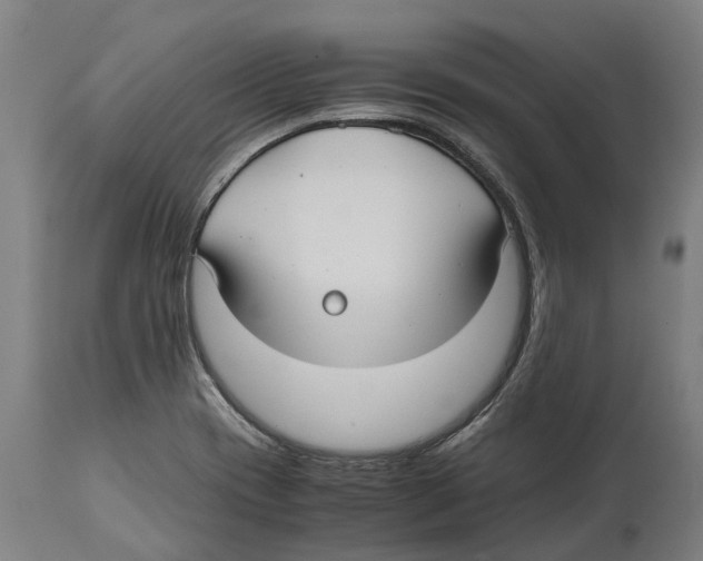 X0000114411417200911131418