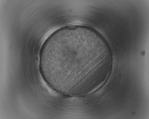 X0000114411418200911131418