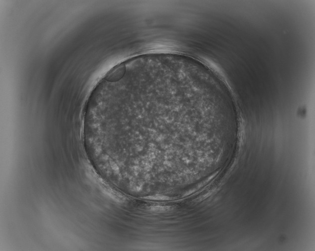 X0000114411419200911131418