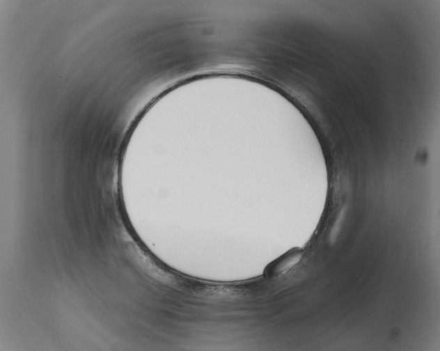 X0000114411420200911131418