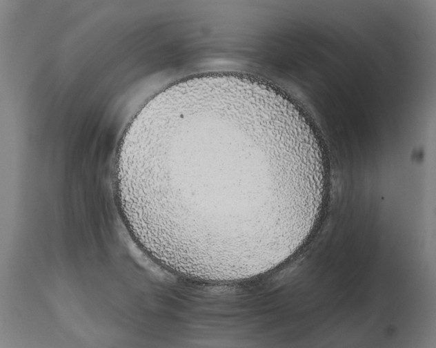 X0000114411421200911131418