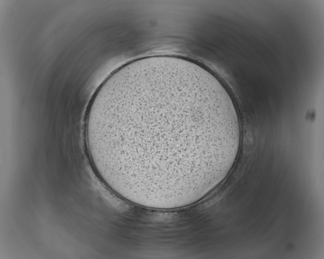 X0000114411423200911131418