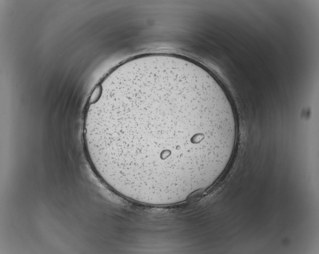 X0000114411424200911131418