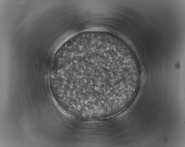 X0000114411425200911131418