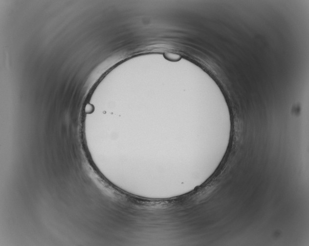 X0000114411426200911131418