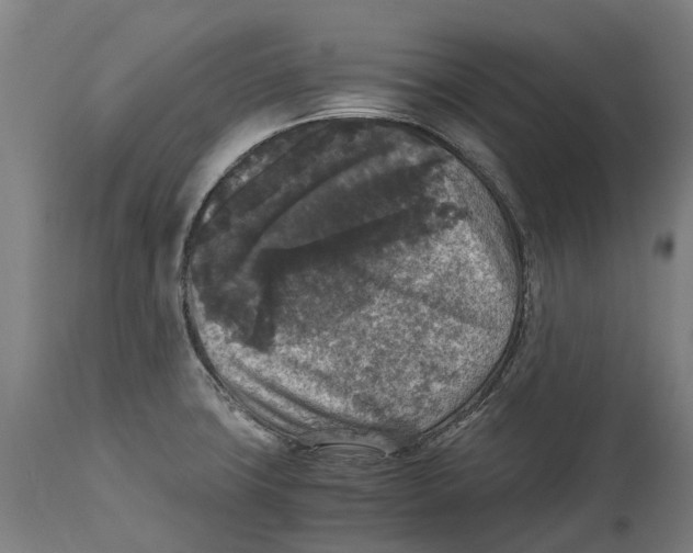 X0000114411427200911131418