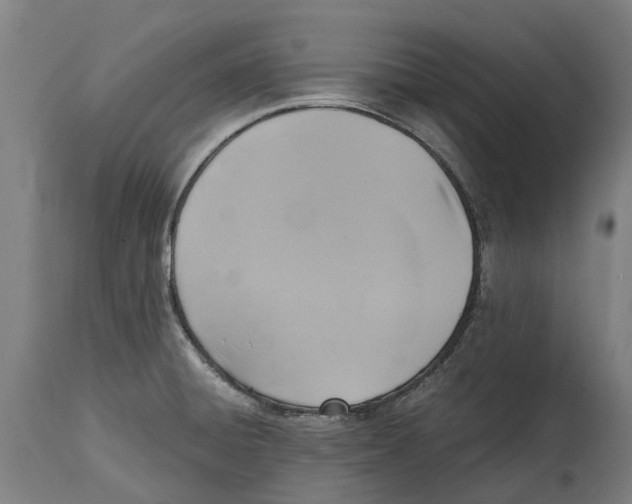 X0000114411428200911131418