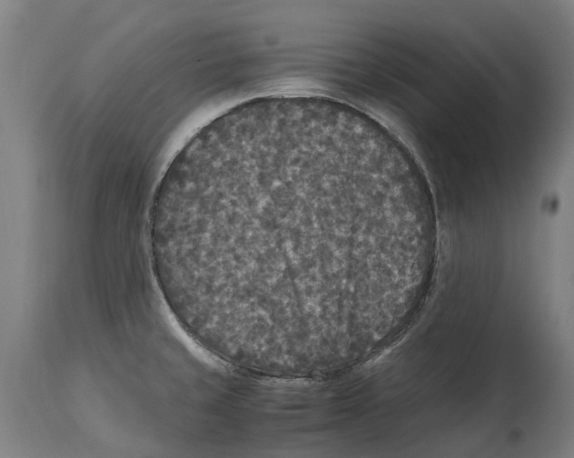 X0000114411429200911131418