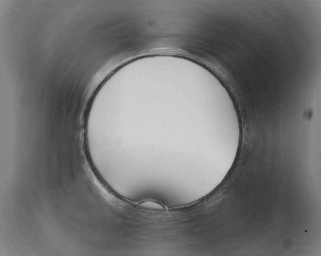 X0000114411430200911131418