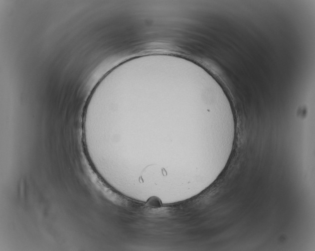 X0000114411431200911131418