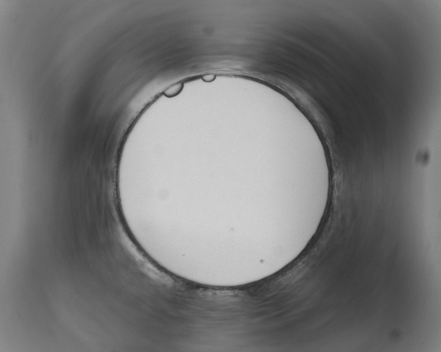 X0000114411432200911131418