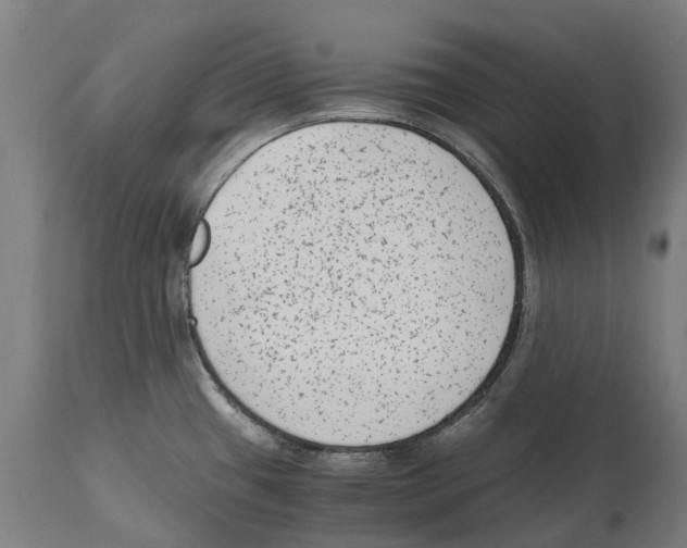 X0000114411433200911131418