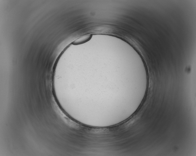 X0000114411434200911131418