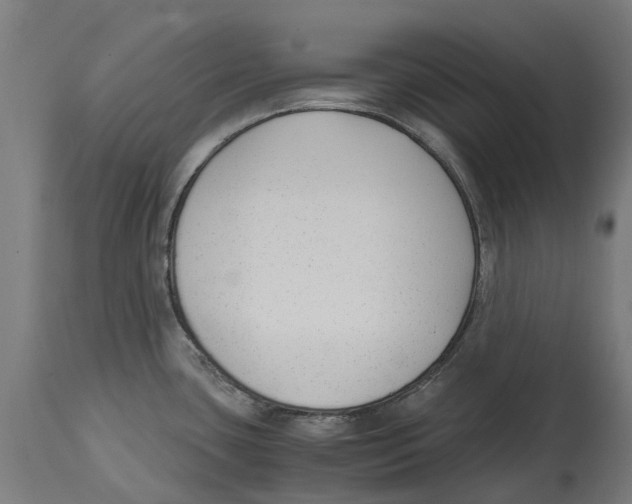 X0000114411435200911131418