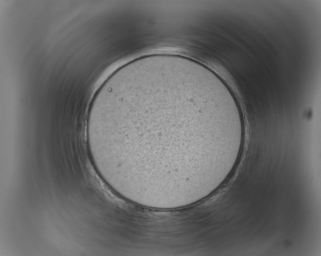 X0000114411436200911131418