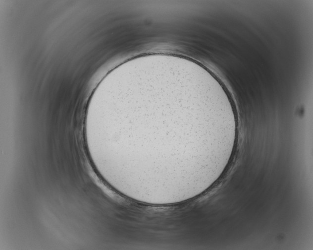 X0000114411437200911131418