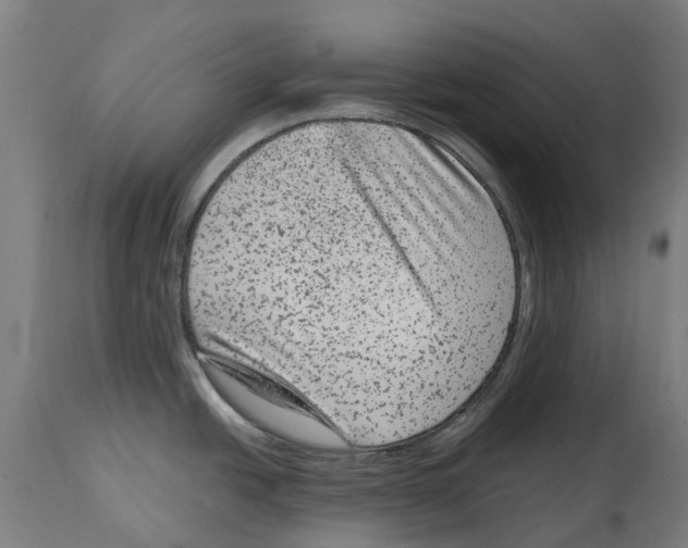 X0000114411438200911131418