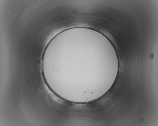 X0000114411439200911131418