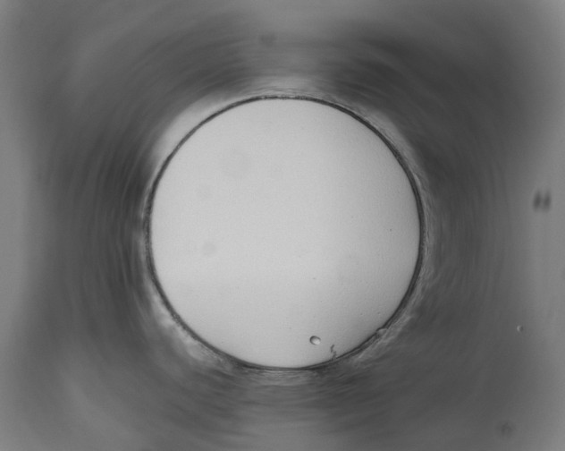 X0000114411440200911131418